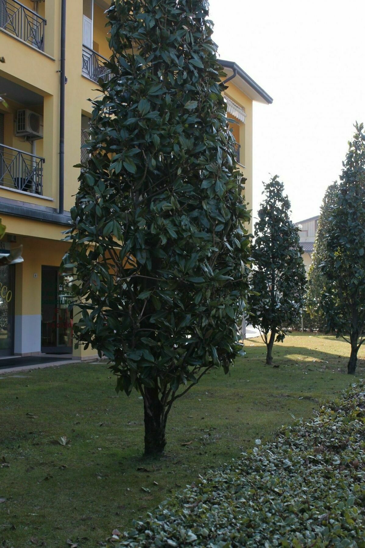 Sarno Apartments Caravaggio سيرمِيوني المظهر الخارجي الصورة